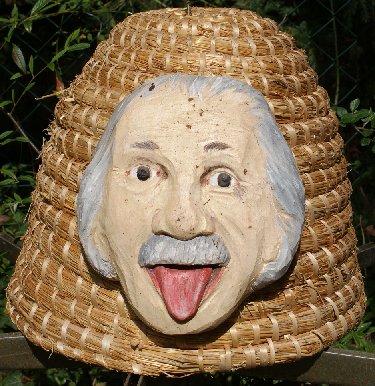 Bienenkorb mit Einsteinmaske